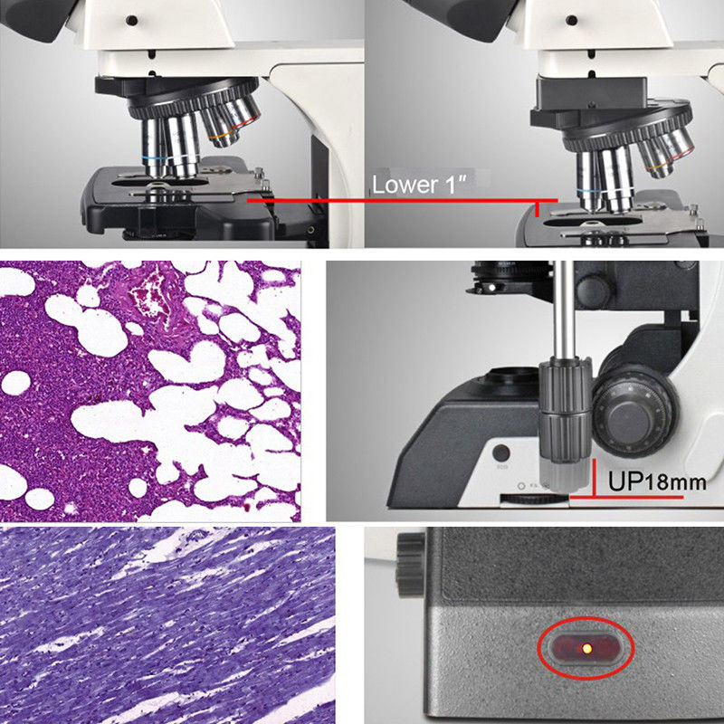 Led Semi Auto Trinocular Stereo Microscope For Research Scientific Laboratory A12.1093-L